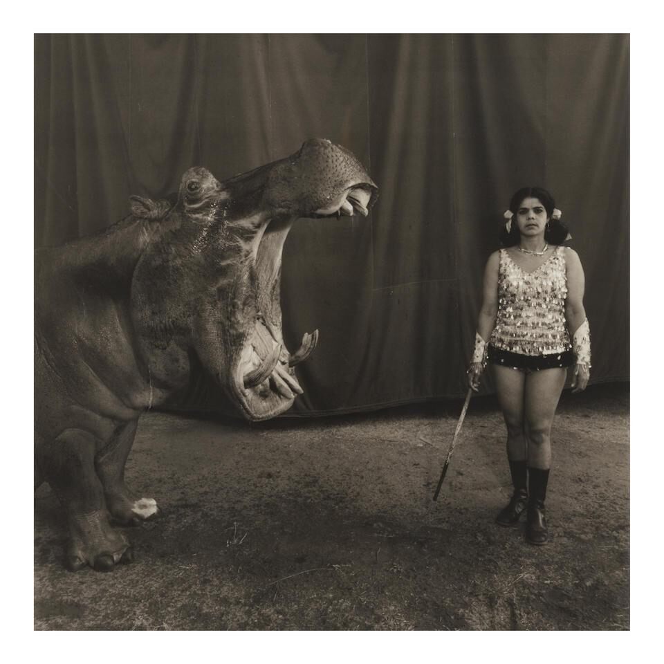 'Hippopotamus + Performer - The Great Rayman Circus - Madras India'