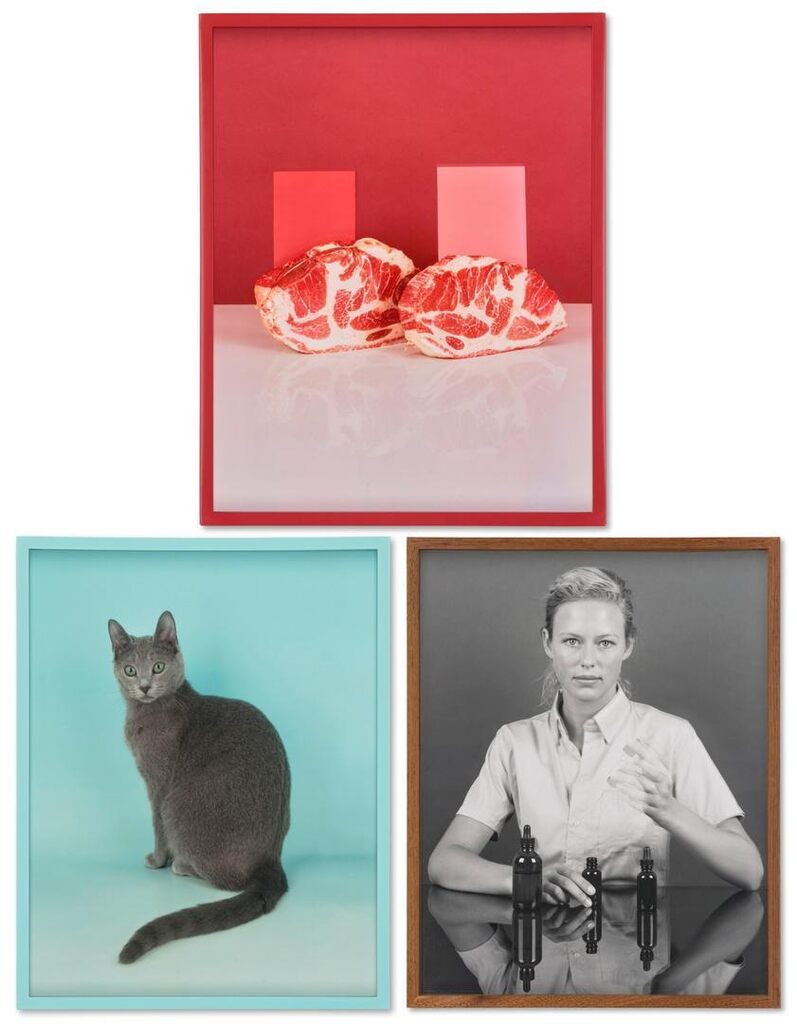 (i) Boston Shoulder Roasts; (ii) Russian Blue; (iii) Woman, Eye Dropper
