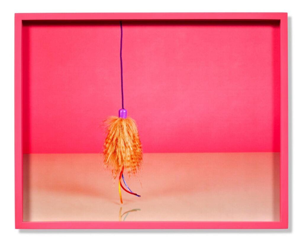 Cat Toy A