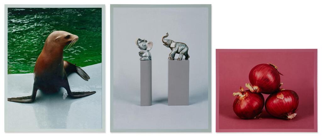 i.  Sea Lion ii. Two Elephants iii. Onions [Three Works]