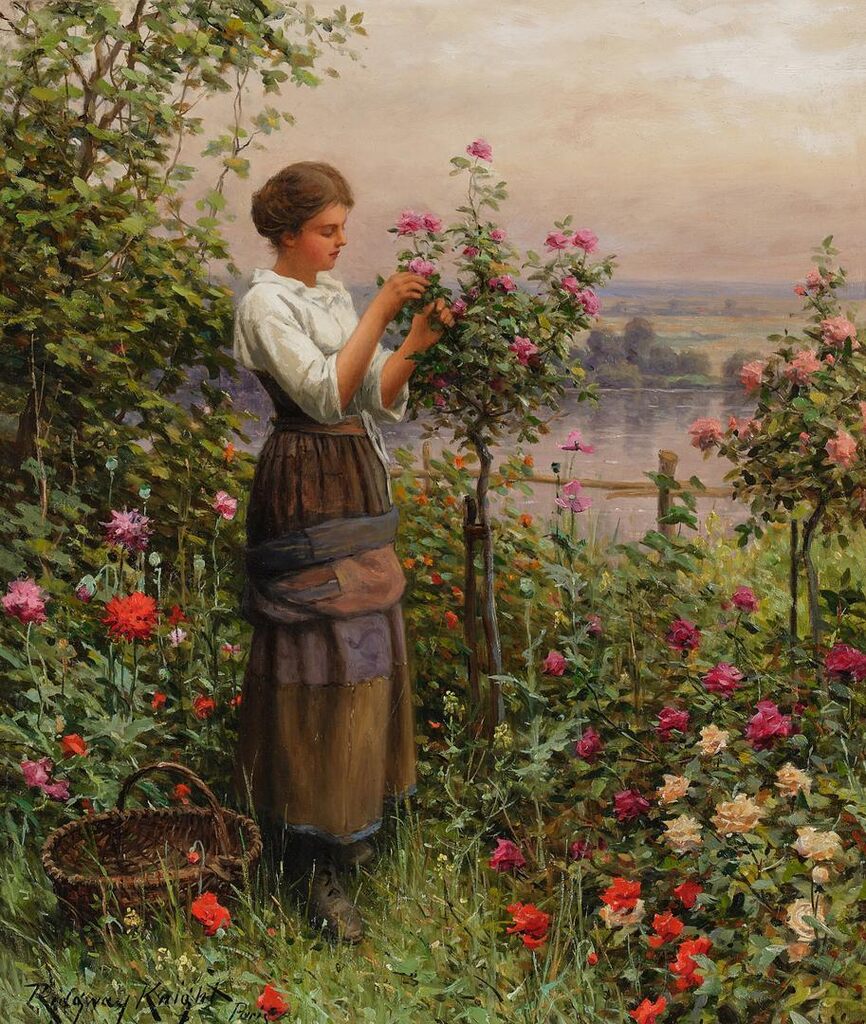 In the Rose Garden