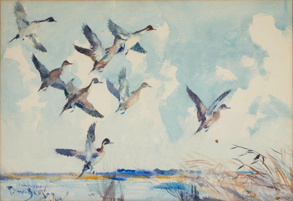 Towering Pintails