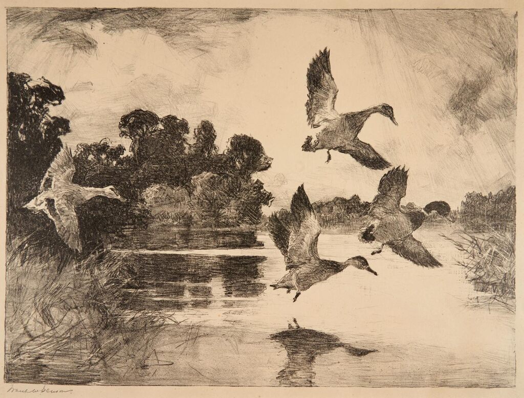 Four Mallards (Paff IV)