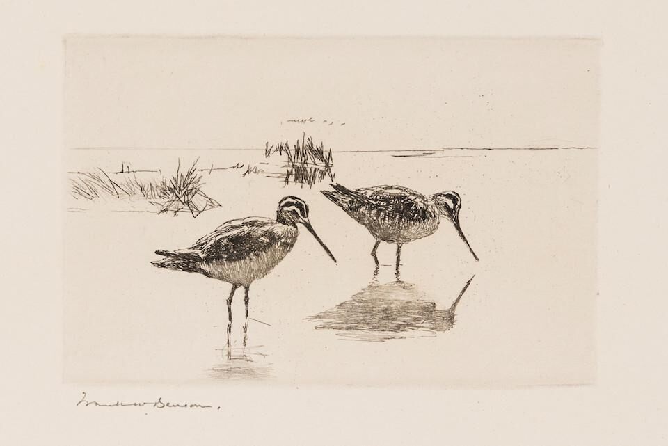 Pair of Snipe (Paff, 323)