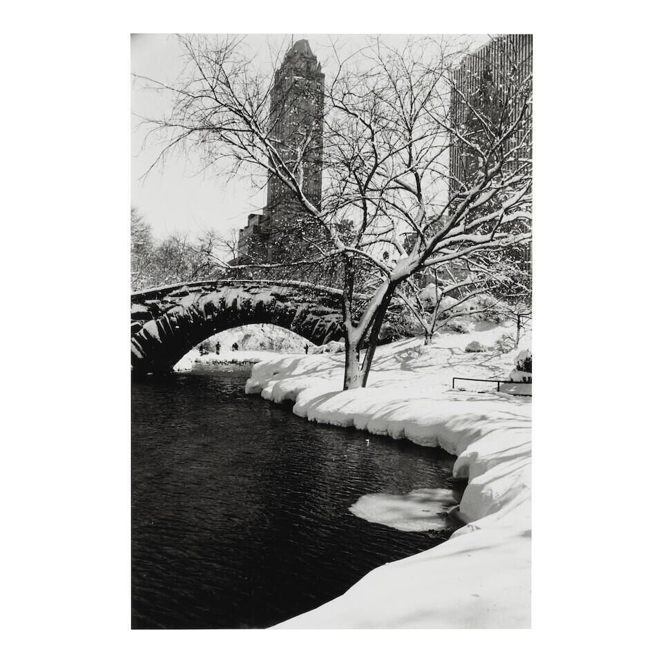Central Park After a Snowstorm, New York City