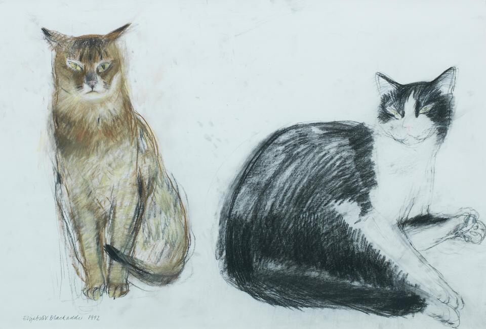 Two Cats