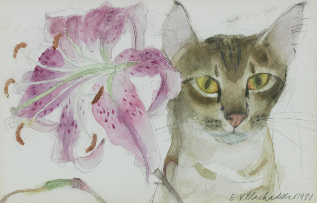 Lily and cat