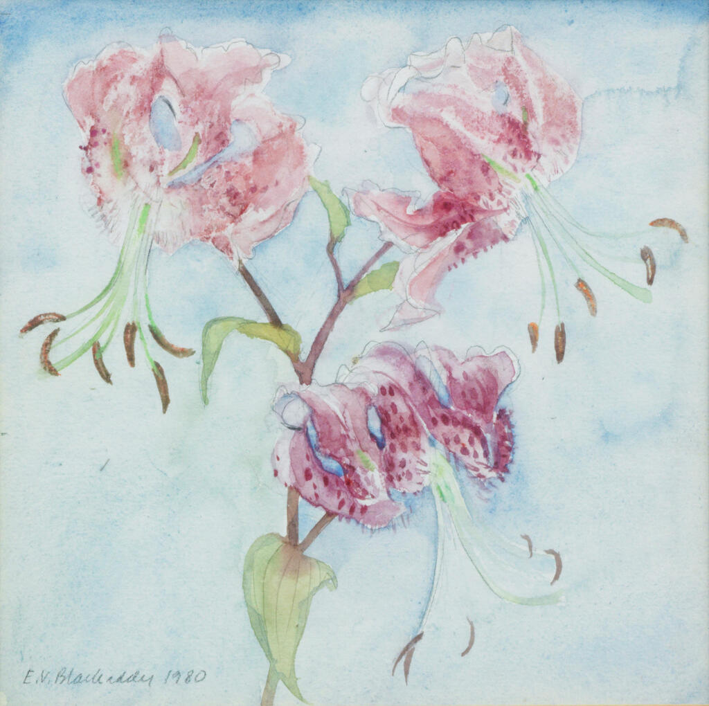 Lilies