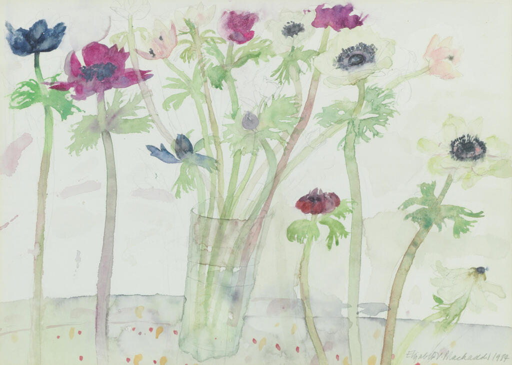 Anemones