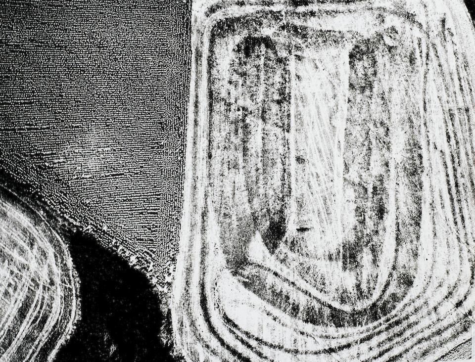 Untitled (from Presa di Coscienza Sulla Natura), c. 1980