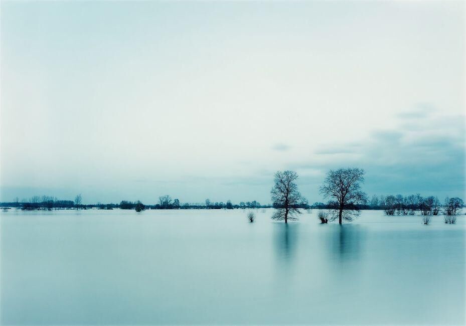 Doubt, Frankreich