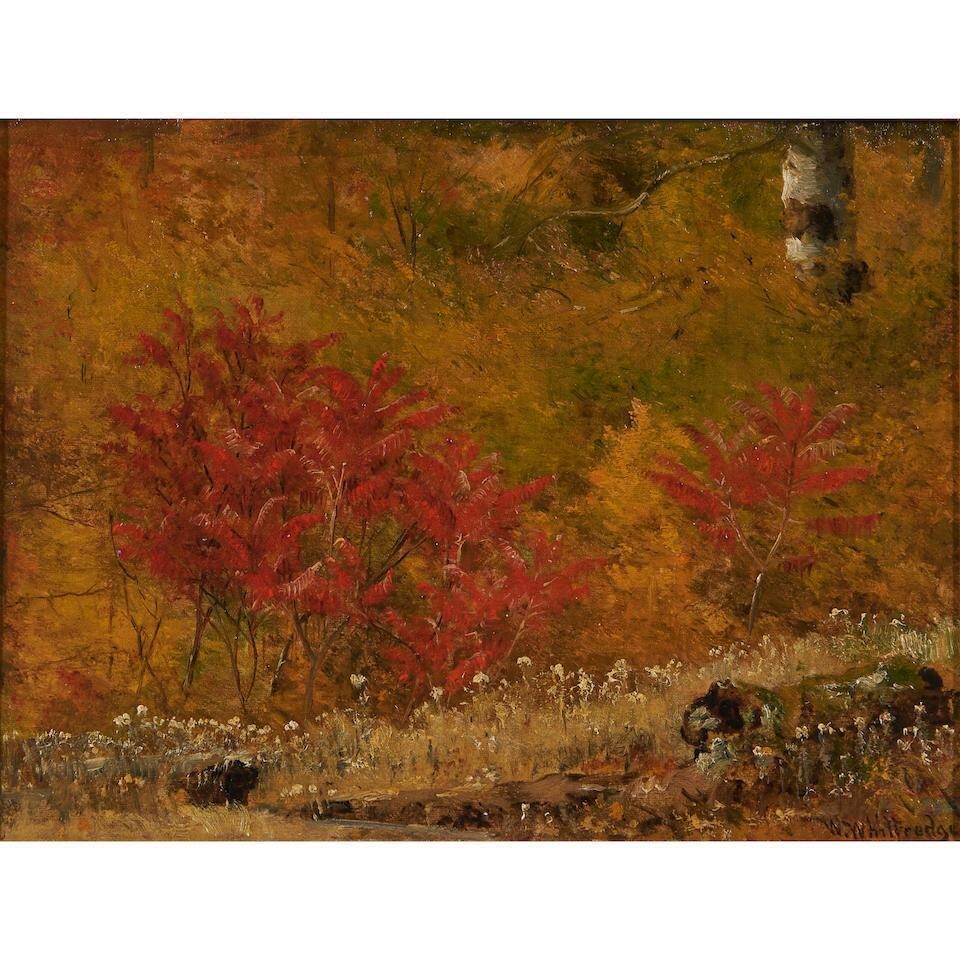 Study of Sumacs and Immortals, Autumn