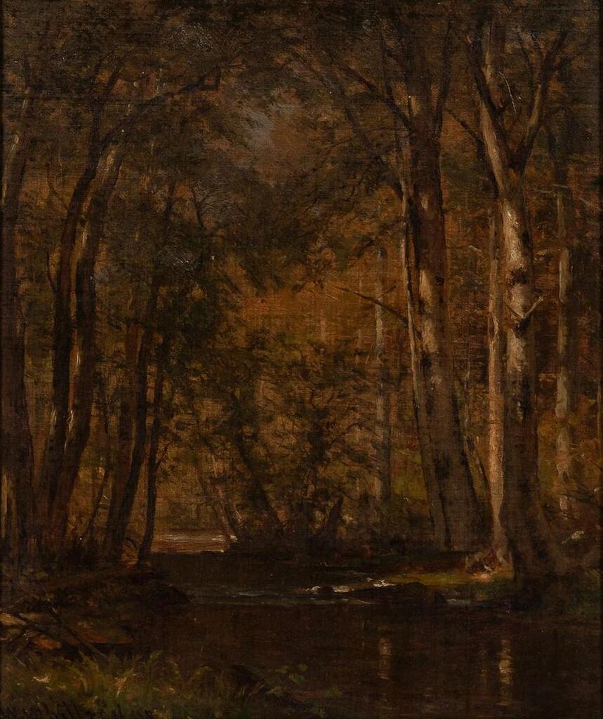 Brook in the Woods