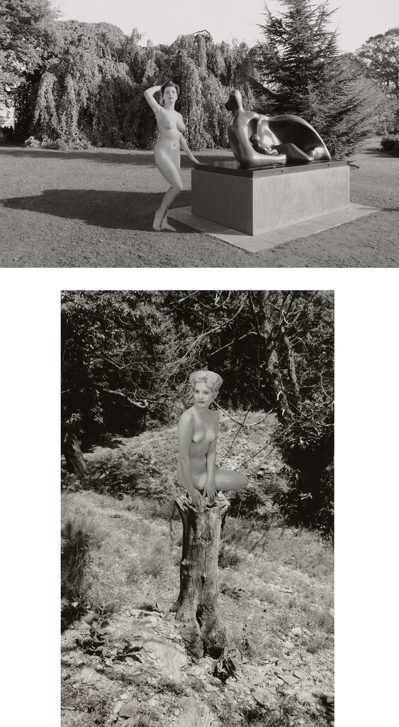 Two works: (i) Broken Tree; (ii) Two Way Piece