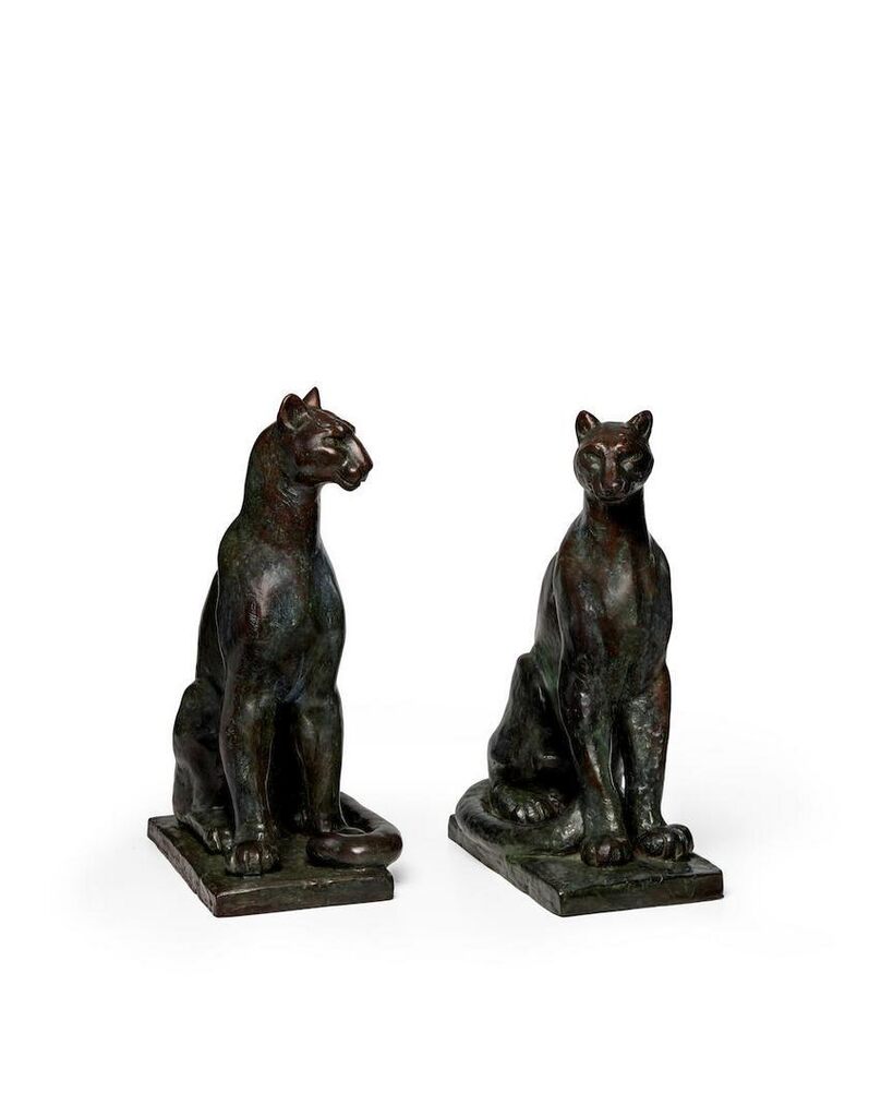 Pumas
