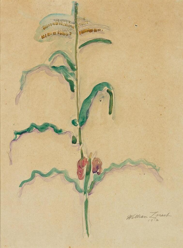 Cornstalk