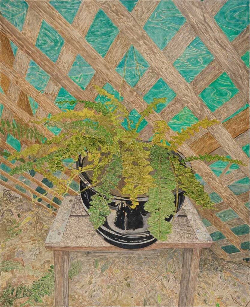 Front Yard Fern