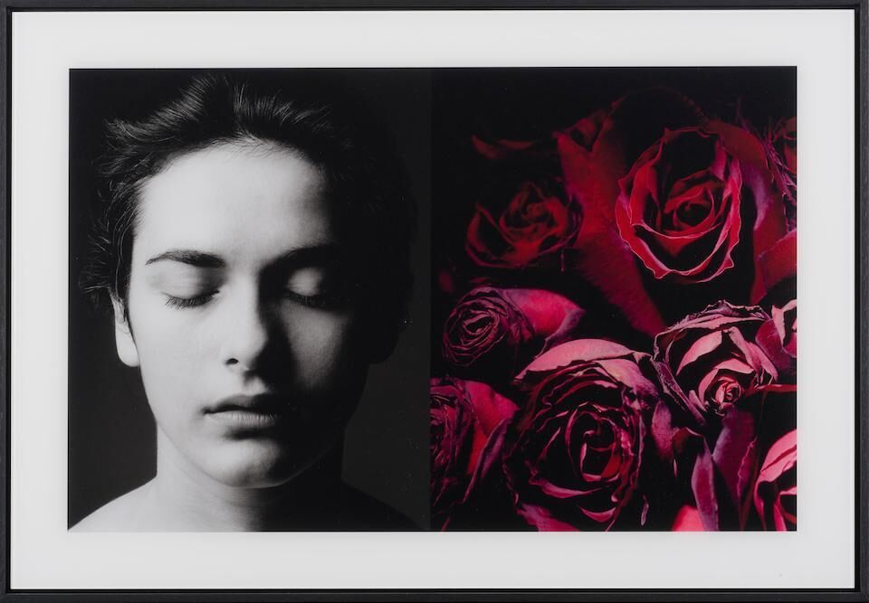 Alice in Wonderland & roses