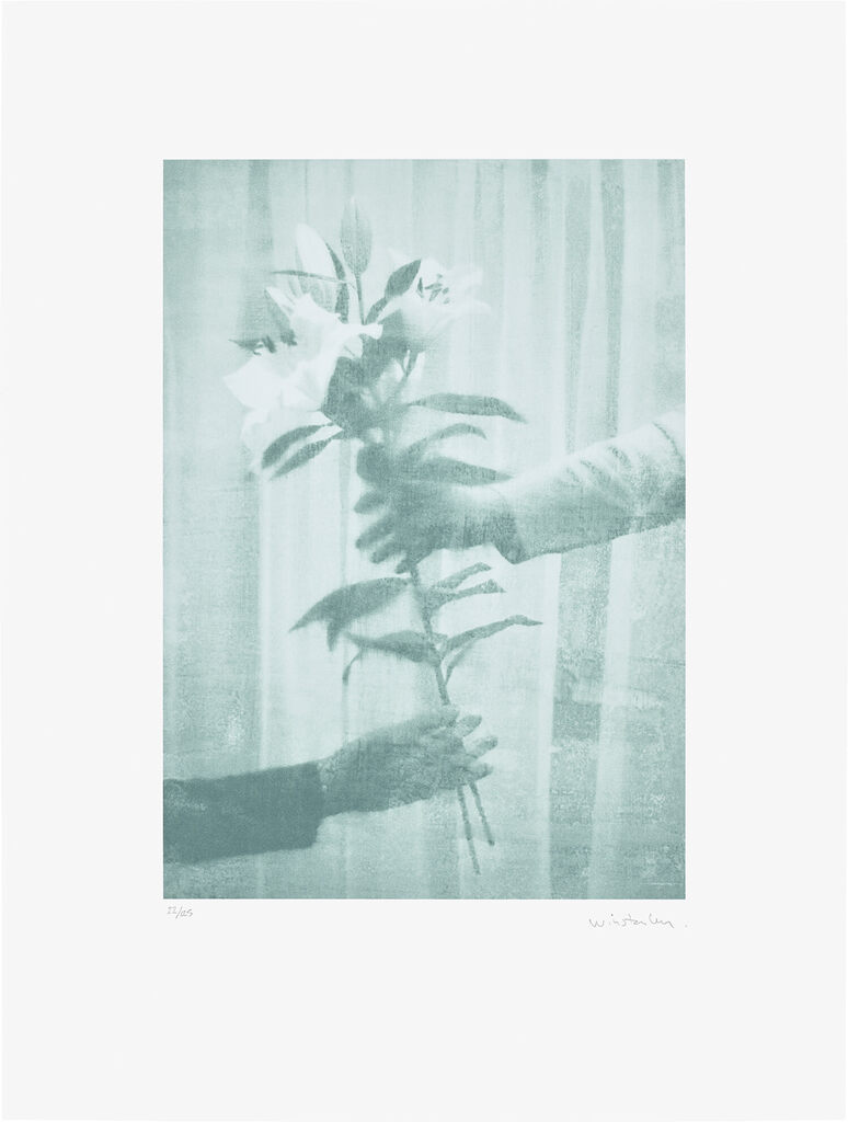 Lilies, from The Help Portfolio