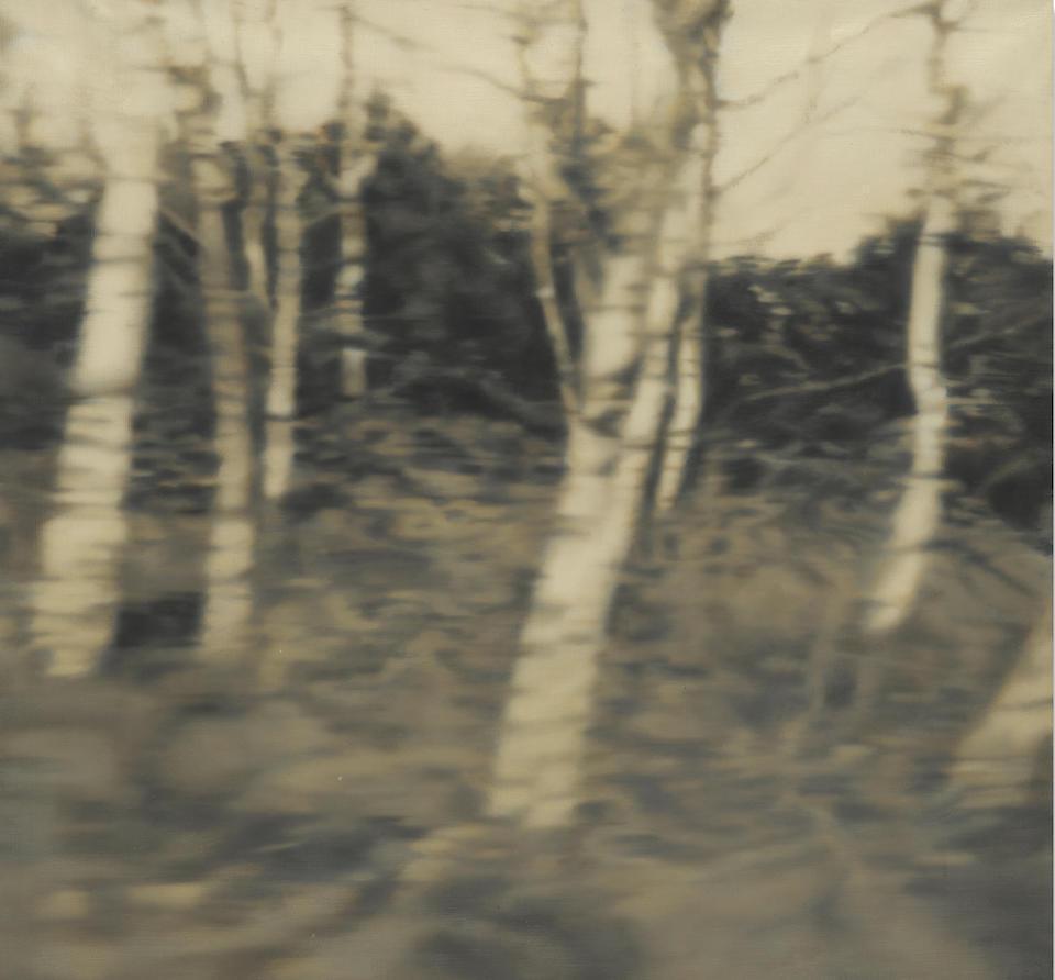 Trees