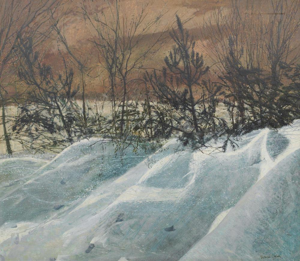 'Snow blown garden'