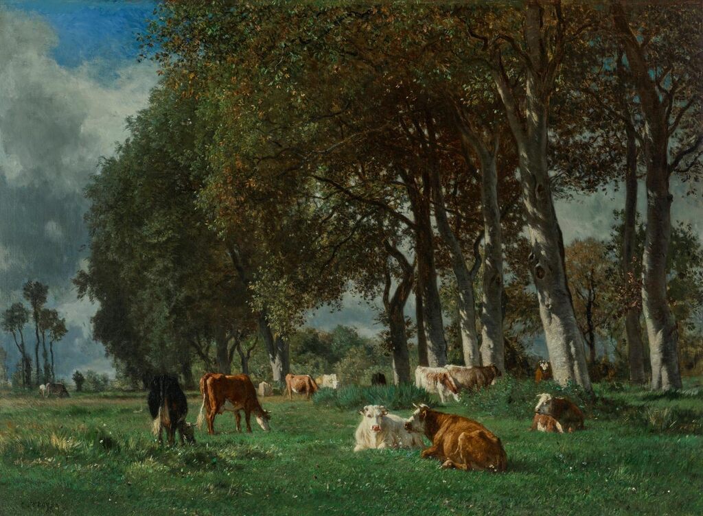Vaches sous bois