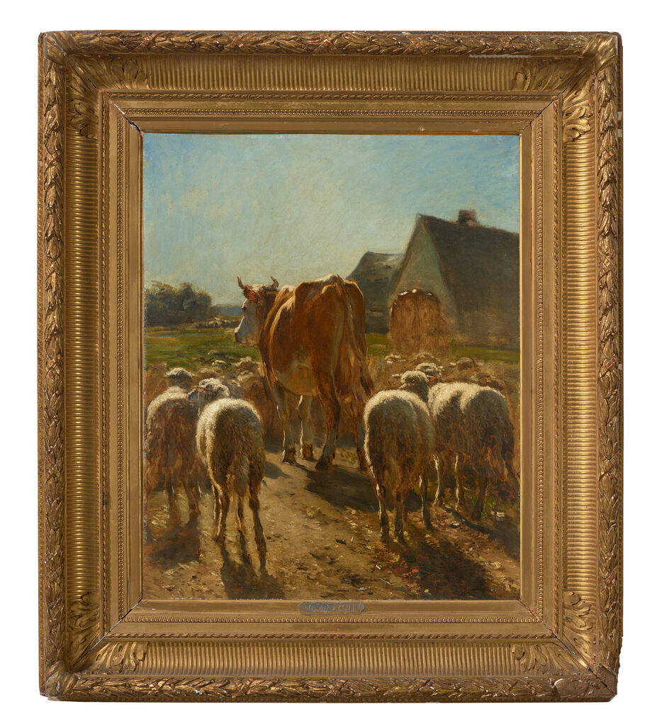 Vaches et moutons rentrant à la ferme; effet de soleil