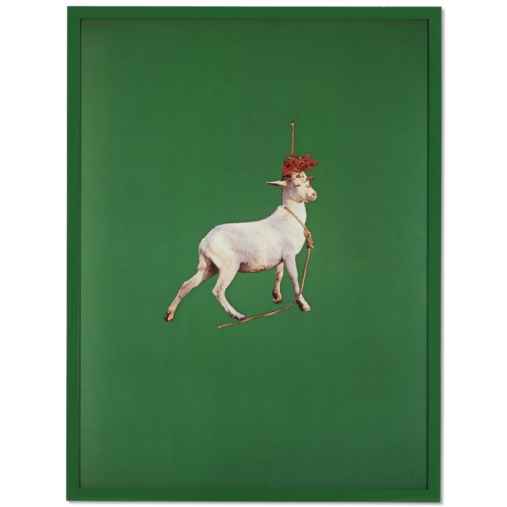 Goat (from the Objects of Desire II series)
