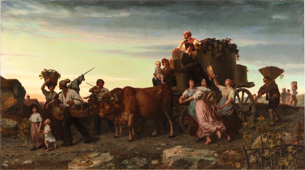 The harvest