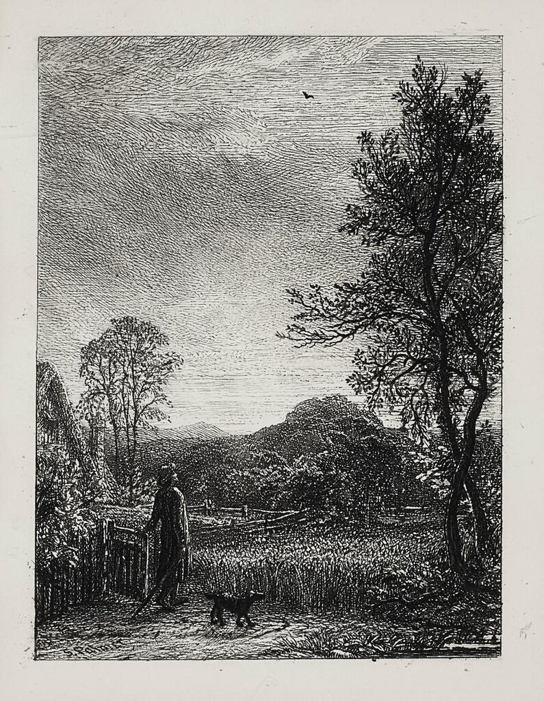The Skylark