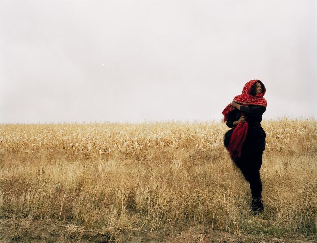 Into the New Sea (Nomad), 2009