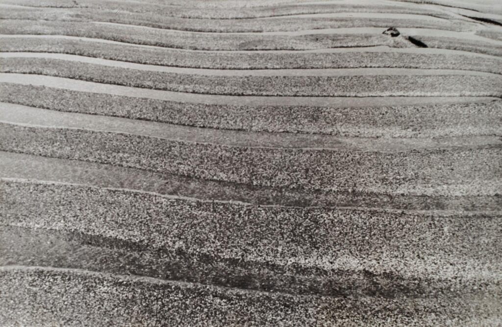 Untitled, 1960