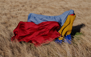 Color Field