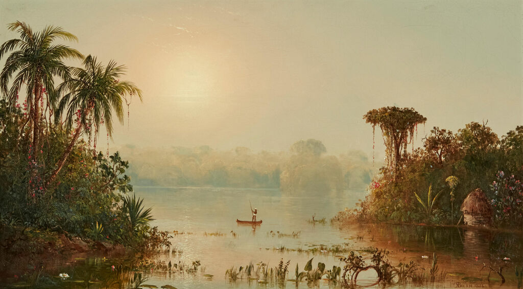 Tropical Landscape