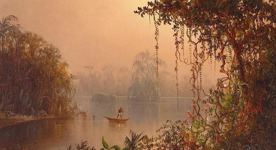 Tropical river with hanging vines