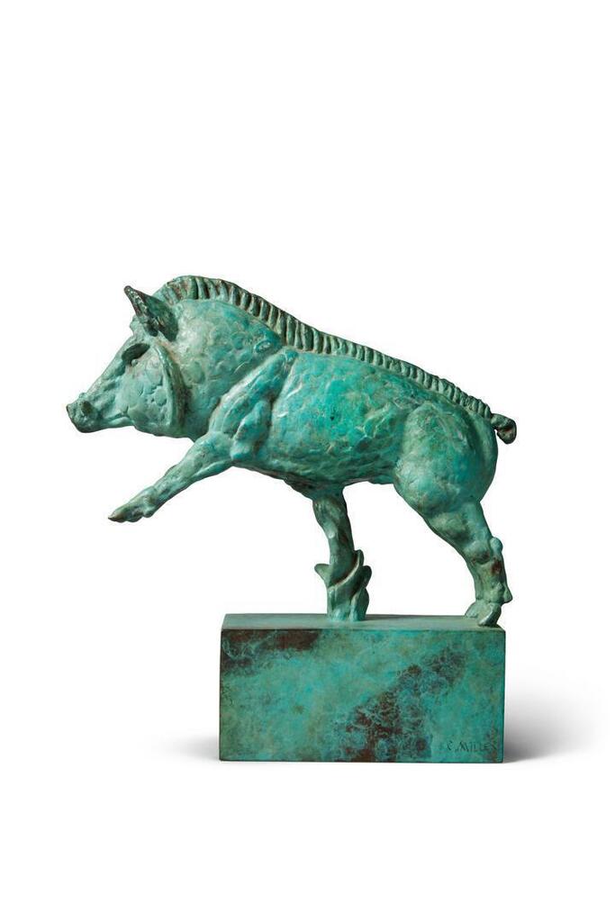 Wild Boar