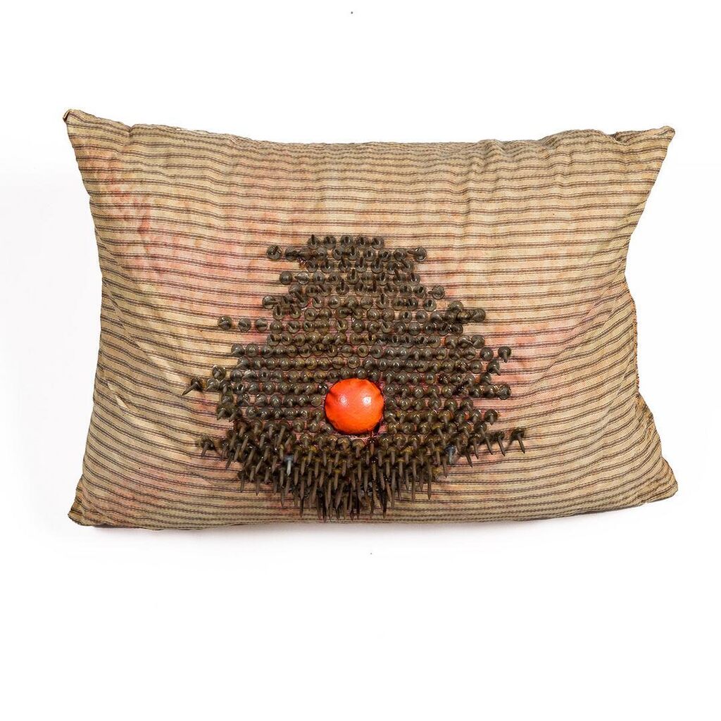 Untitled Pillow June