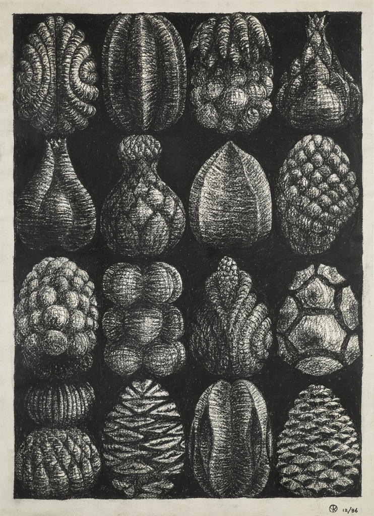 Fruit