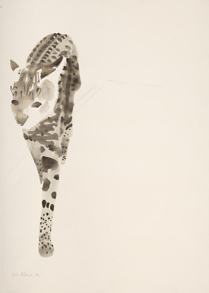 Serval