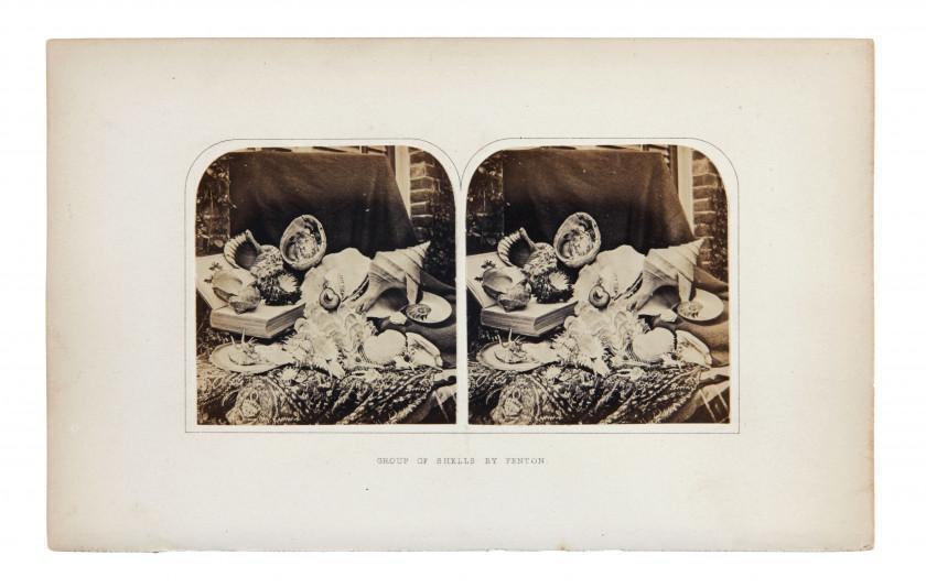 Group of shells by Fenton