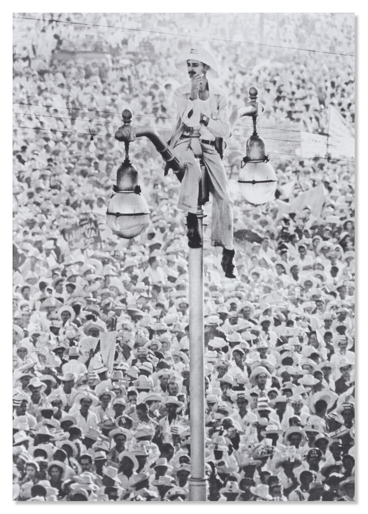 El Quijote de la Farola (The Quixote of the Lamppost)