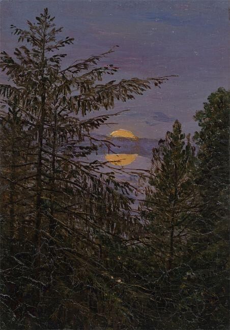 Moon over pines