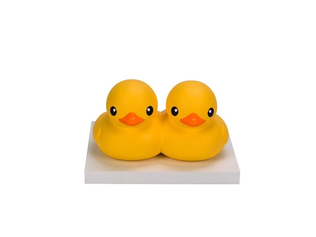 Double Duck