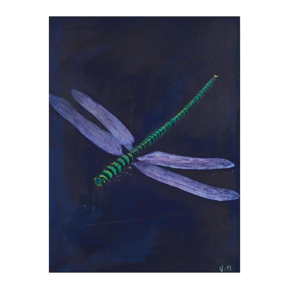 Libellule