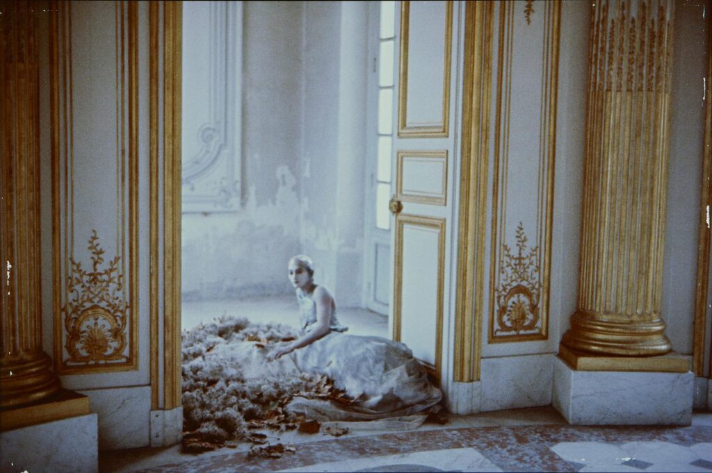 'Versailles: Seventeen Images'
