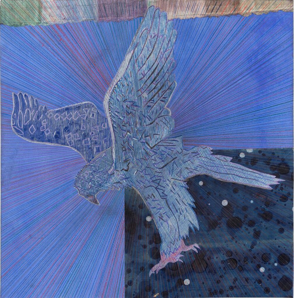 Hawk