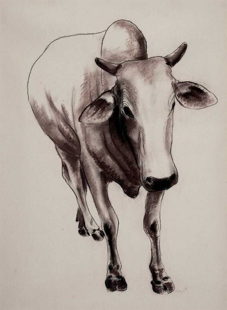 Untitled (Cow)