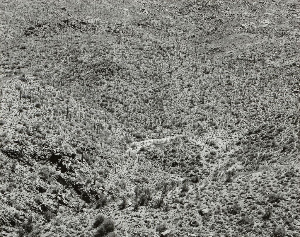 Arizona Landscape (Bagdad)