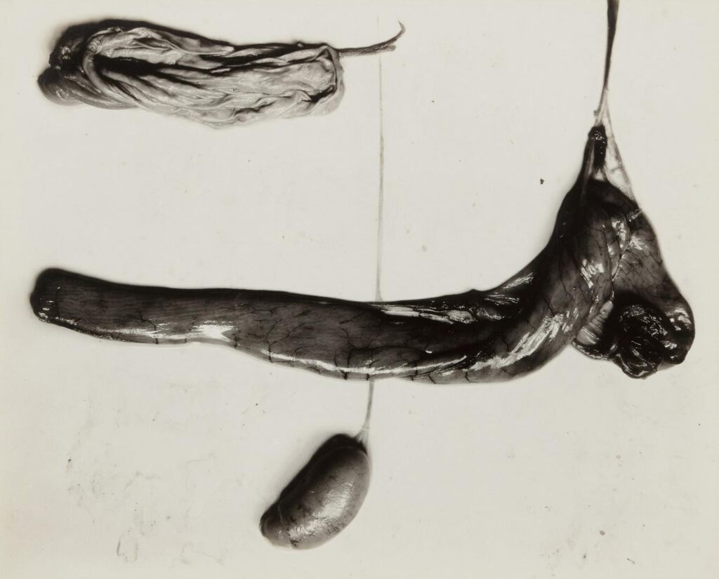 'Negative #90'