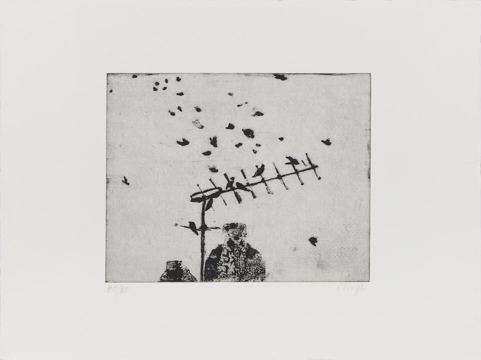 Starlings, from Nine London Birds